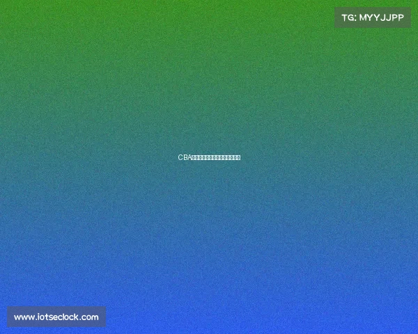 CBA赛季决战：谁会是最后的冠军？